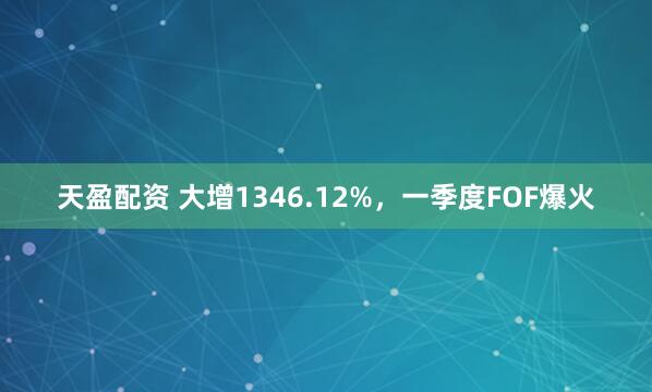 天盈配资 大增1346.12%，一季度FOF爆火